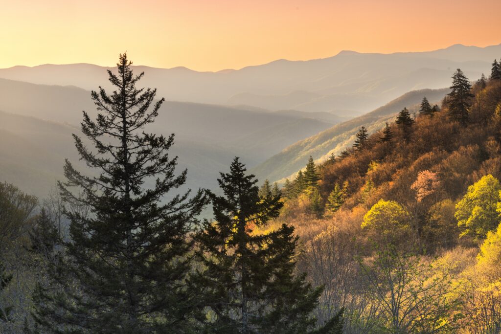 On the Mountains-to-Sea Trail, you'll find beautiful sunrises over the Blue Ridge Mountains framed by evergreens.
