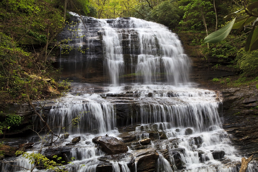 Hike the Beautiful Pearson's Falls in Saluda 4 Enjoy a hike to Pearson's Falls in Saluda, NC. Cascade of water over rocks, with trees.