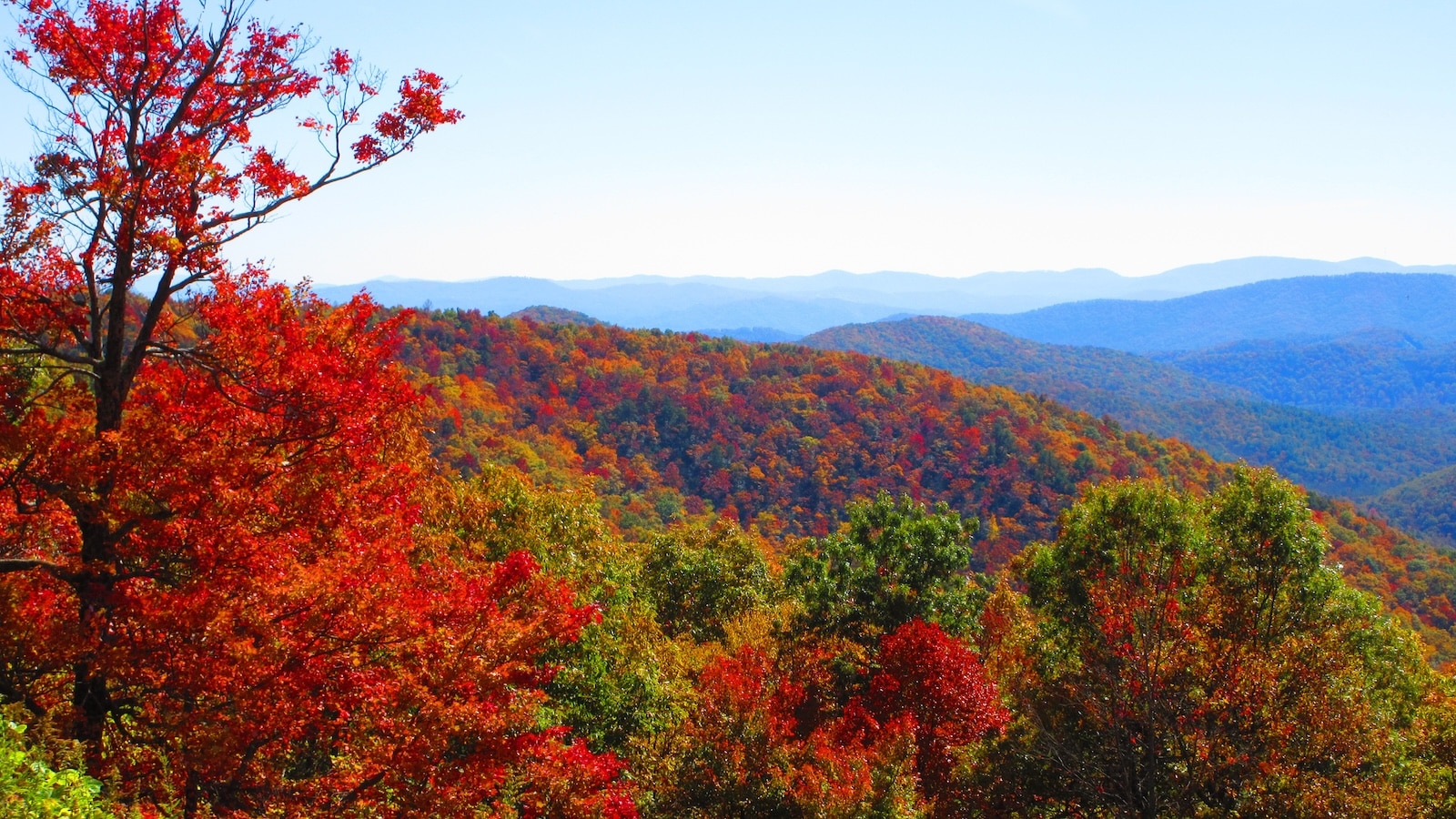 When Is the Best Time to Visit North Carolina? 1 Fall is one of the best time to visit North Carolina. The foliage is dazzling with many different colors in the Blue Ridge Mountains.