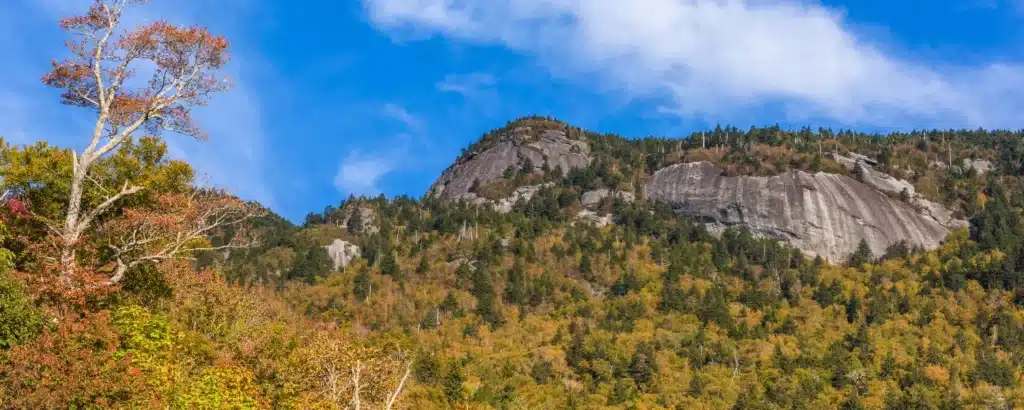 How to Plan the Perfect Day Trip to Grandfather Mountain 1