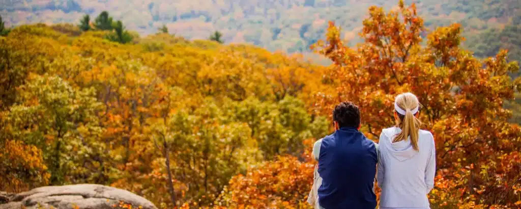 Saluda Getaways: Pick the Perfect Vacation for You 9