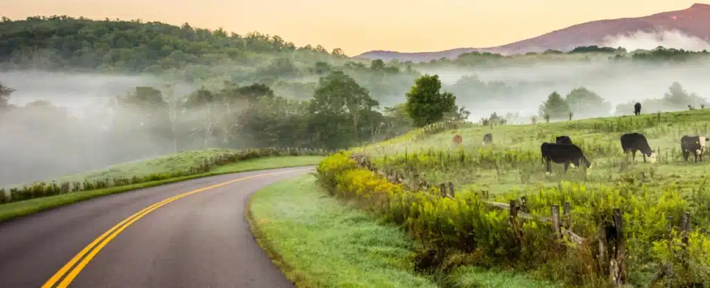 Road Trips to Saluda NC: 5 Joy Rides to Delight Your Sense of Adventure 6