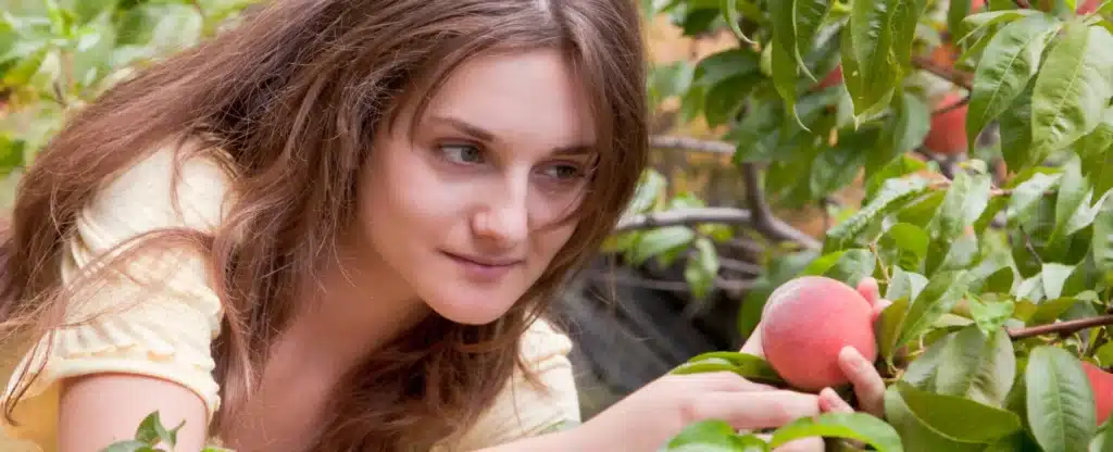 6 Fresh Pick Your Own Farms Near Asheville NC 5