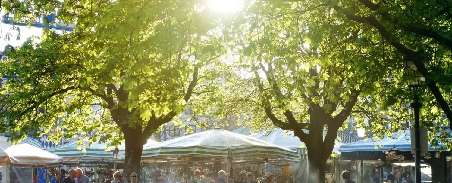 Downtown After 5 Embracing the Fun and Community of Asheville, NC