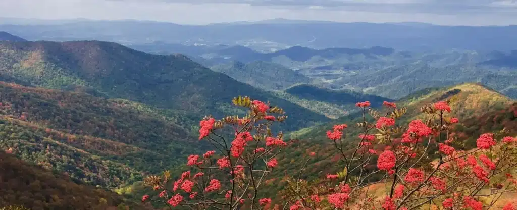 6 Free Things to Do in Saluda, NC, for an Unforgettable Vacation 38 6 Free Things to Do in Saluda, NC, for an Unforgettable Vacation 27