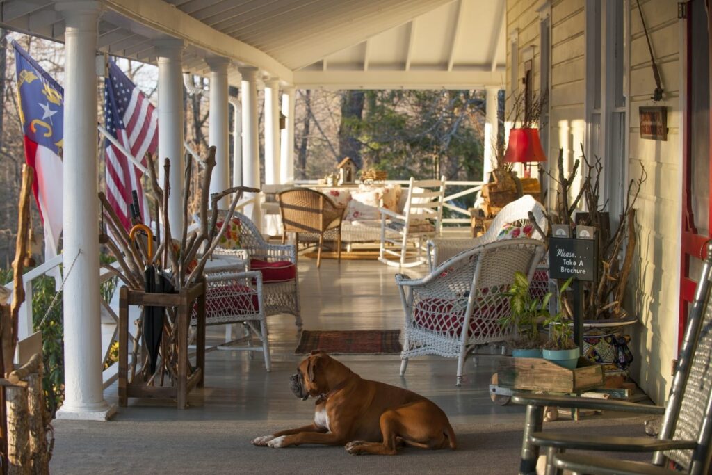 Everything You Need to Know About Coon Dog Day 8 Everything You Need to Know About Coon Dog Day 7