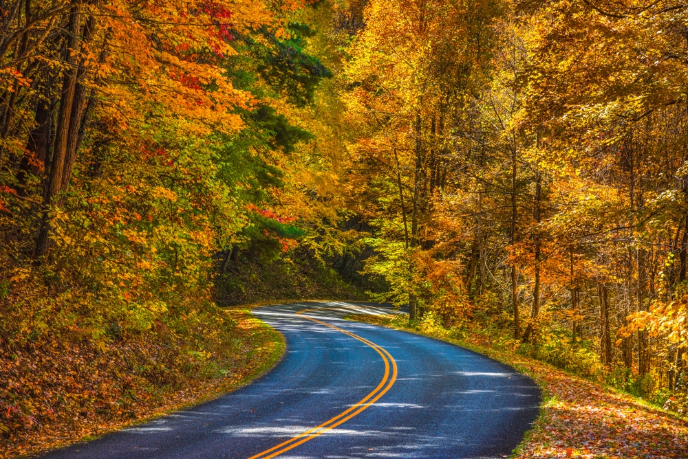 Scenic drive through the blue ridge Mountains - the best way to see the fall colors in North Carolina