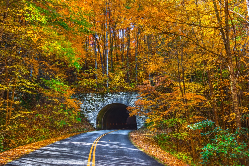 fall foliage near a tunnel on the Blue Ridge Parkway near our Saluda, NC Bed and Breakfast