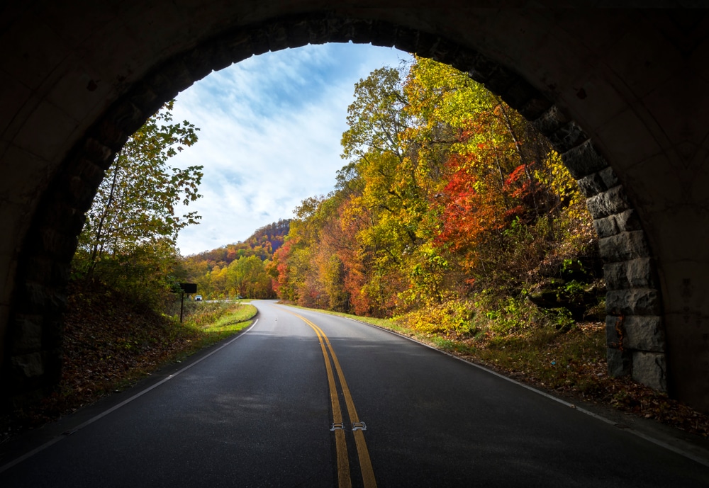 Scenic foliage outside of Asheville, where you'll find some of the best historical sites in North Carolina