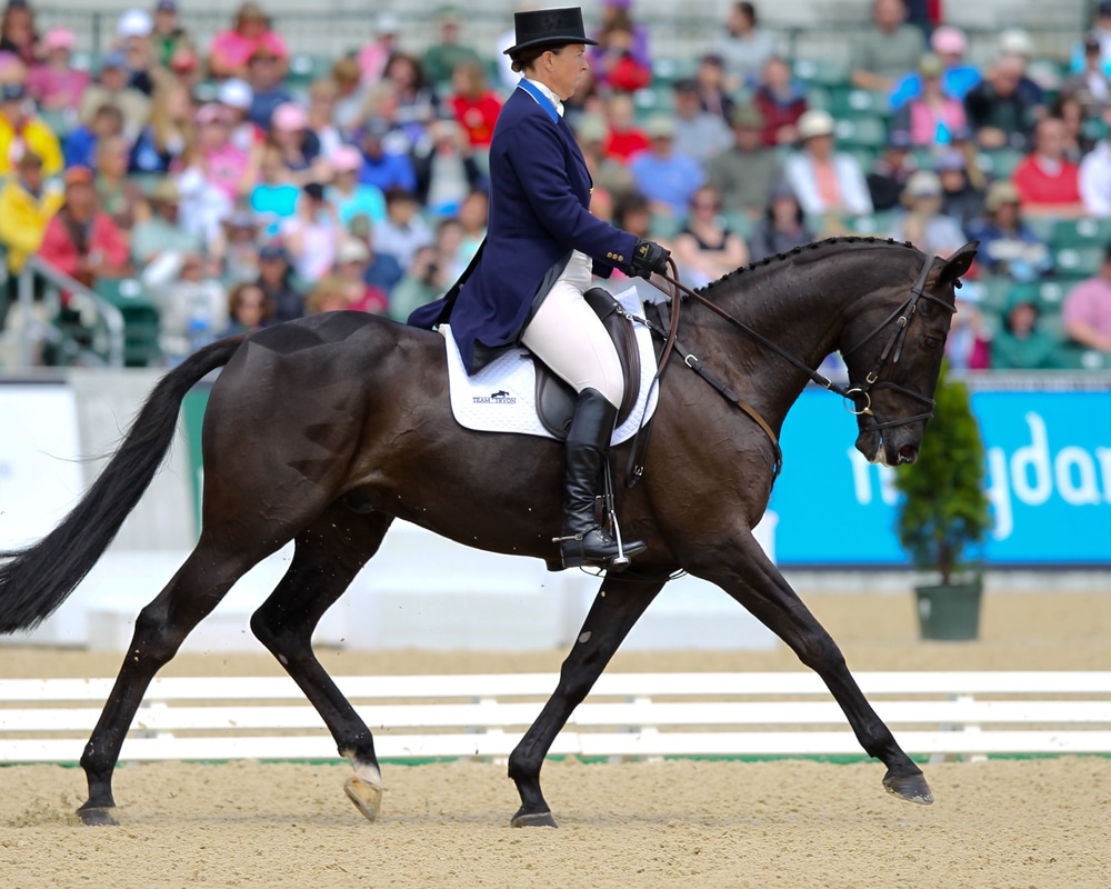 Lodging Near the Tryon Equestrian Center 4 Riding participating in events like those at the Tryon Equestrian Center near our Saluda Hotel