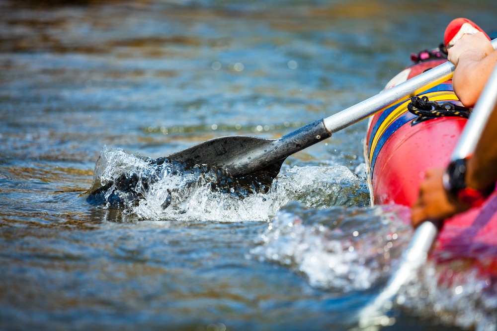Kayak Through the Green River Gorge Near Saluda 33 Paddles in the water as they kayak through the Green River Gorge in NC