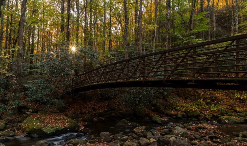 Bridge over a river while hiking at Jones Gap State Park