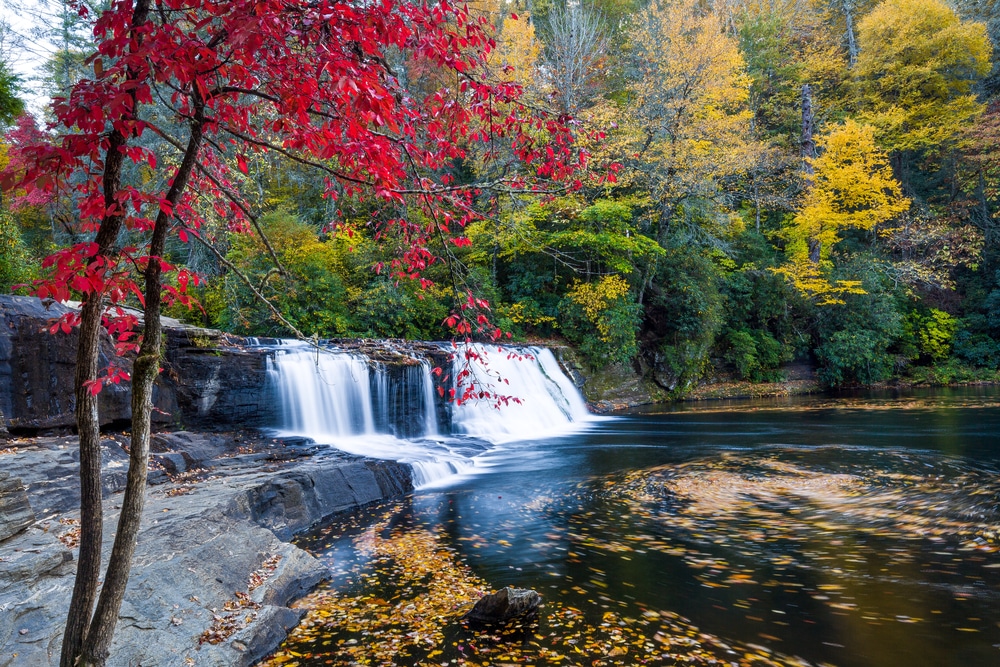 Best Waterfalls of DuPont State Recreational Forest 1 Visit Hooker Falls at Dupont State Recreation Forest. Image of Hooker Falls, with a red-leafed and green trees surrounding it.