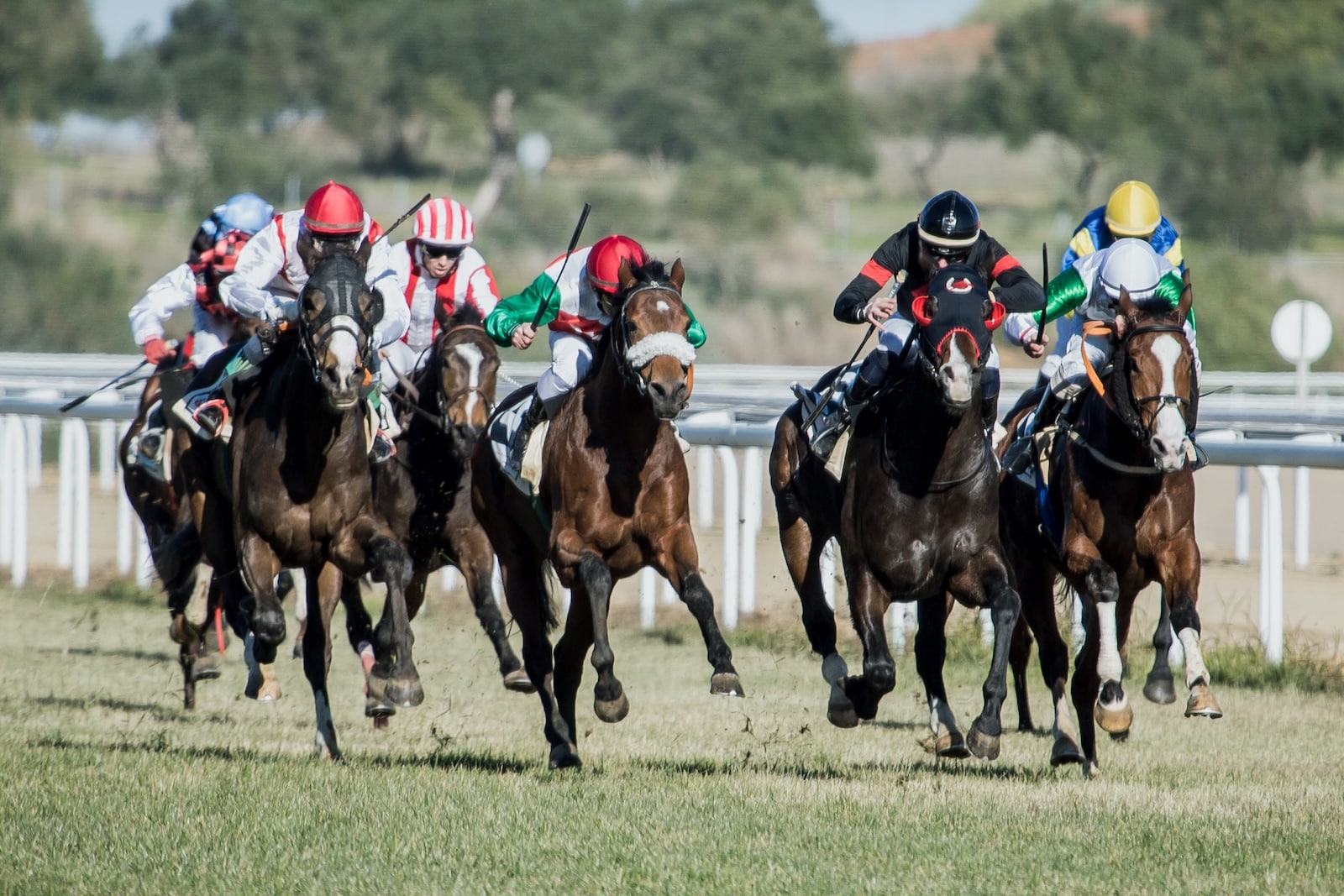 Polo is among the most exciting events at the Tryon Equestrian Center near Saluda