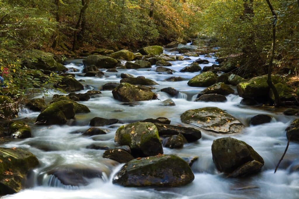 Take a Hike at Jones Gap State Park 1 The Middle Saulda River in Jones Gape State Park, SC.