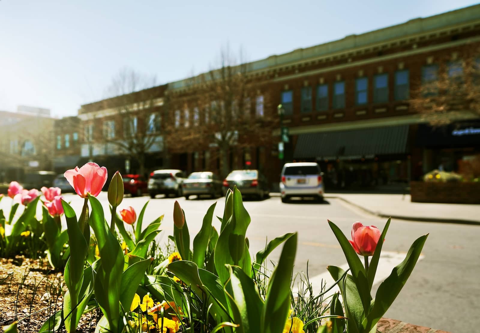 Historic Main Street in Hendersonville, NC is one of the most quaint North Carolina mountain towns to visit. 
